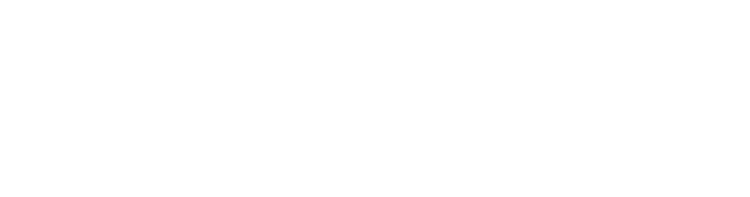 BizHigh Logo