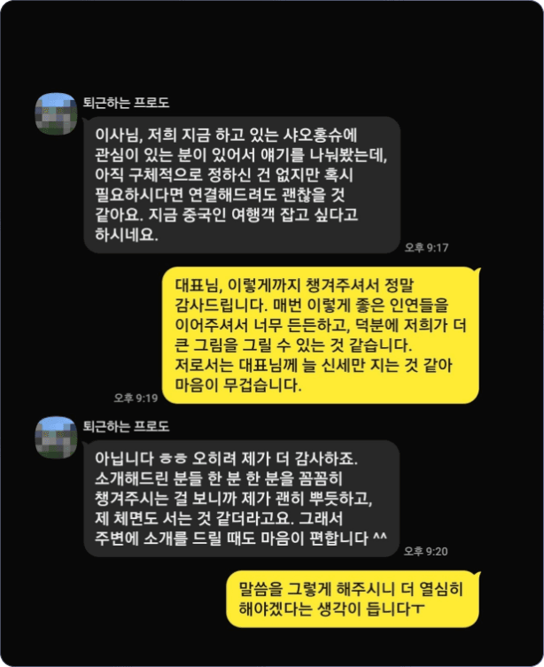 Customer Success Chat